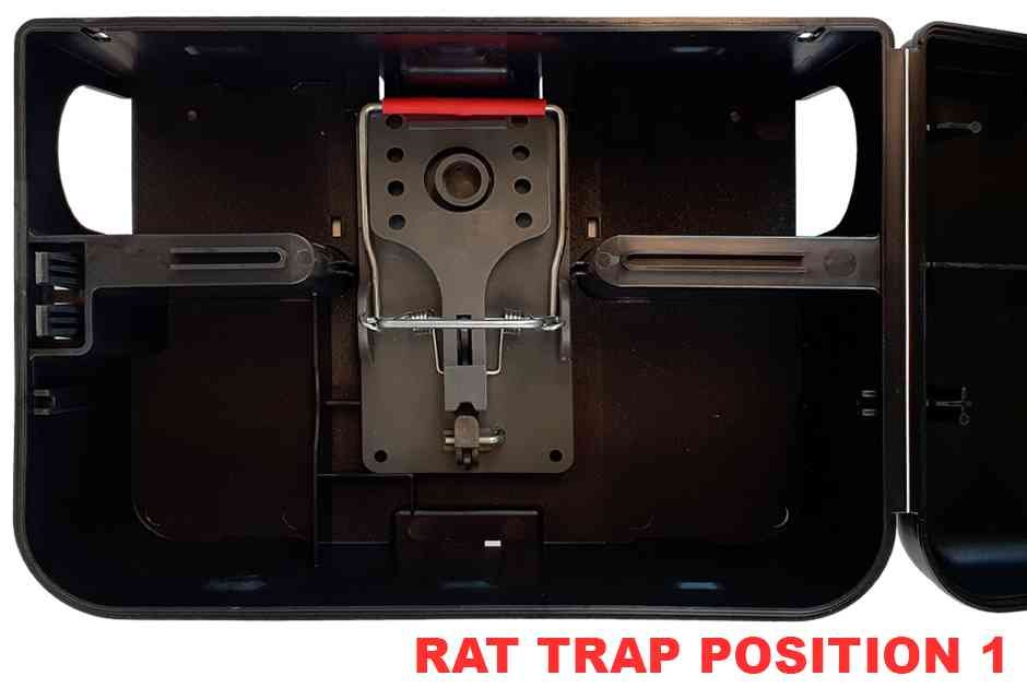 rat trap position 1